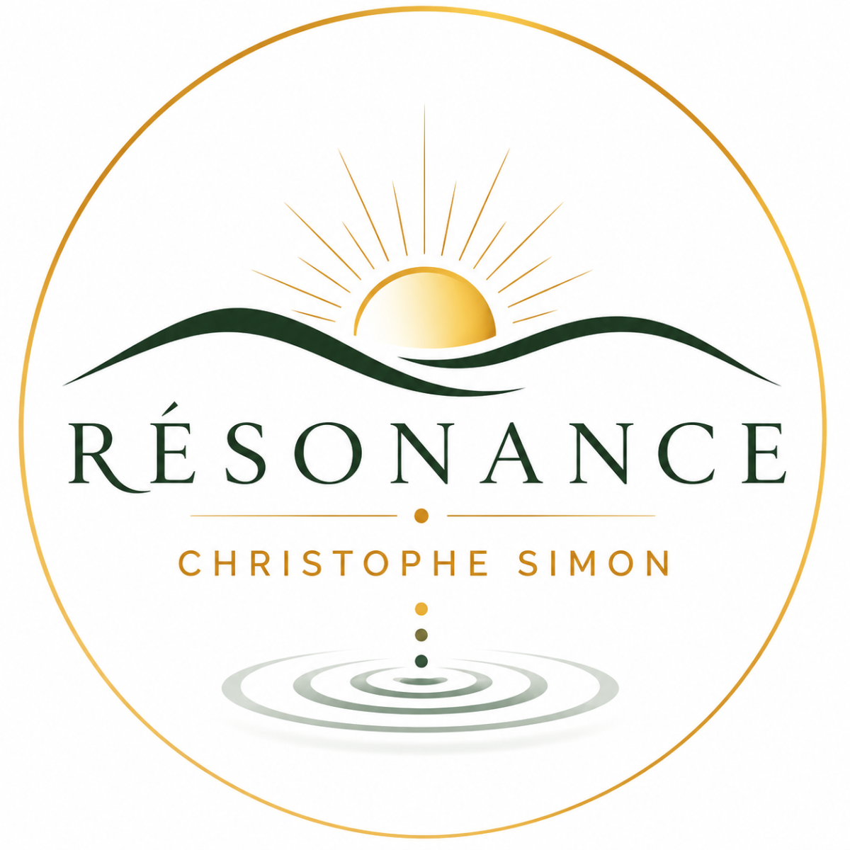 Christophe Simon - Résonance
